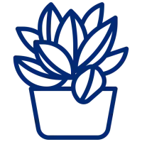Icone plantes
